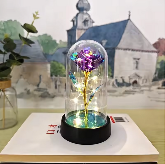 Enchanted Galaxy Rose Dome - Rainbow