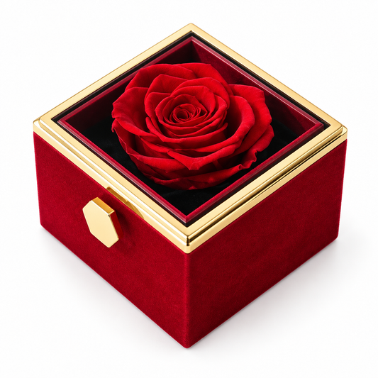 Eternal Rose Jewellery Box - white background hero shot